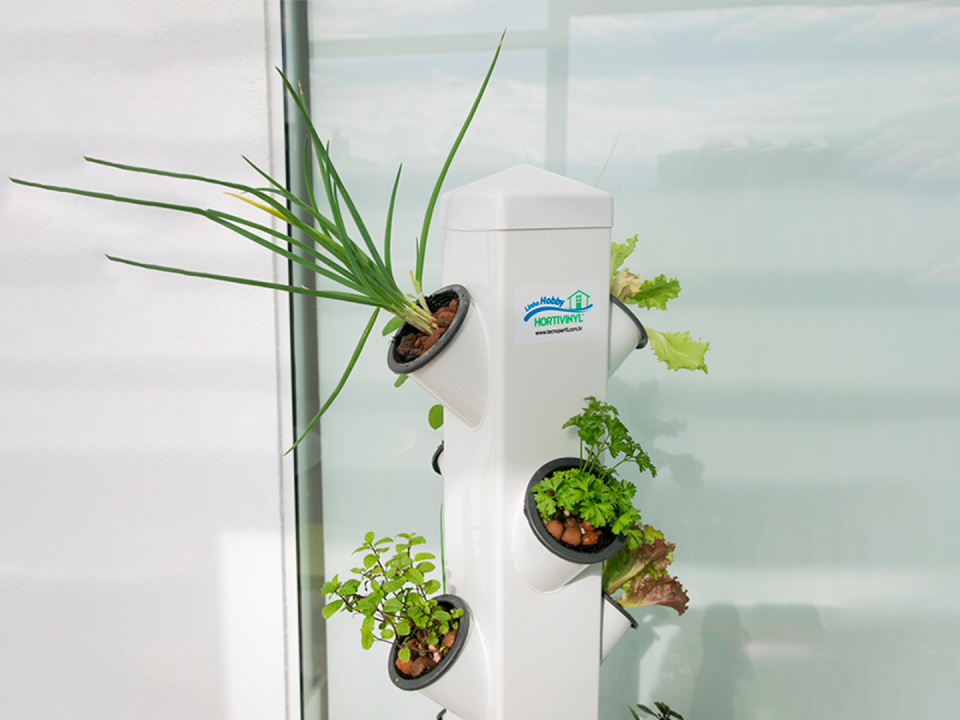 Hydroponic vegetable garden in an apartment